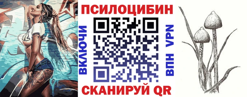 Псилоцибиновые грибы Magic Shrooms  цена   Удачный 