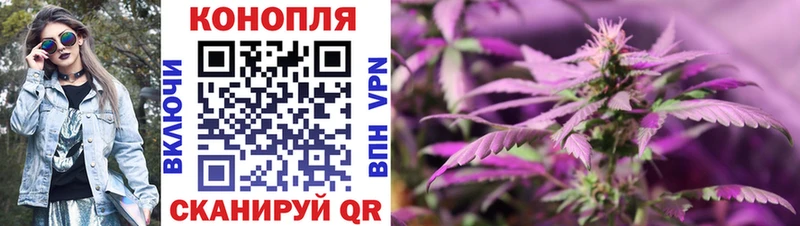 закладки  Удачный  omg как зайти  Бошки марихуана семена 